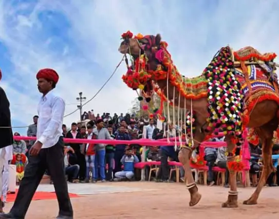 Festival Celebrating